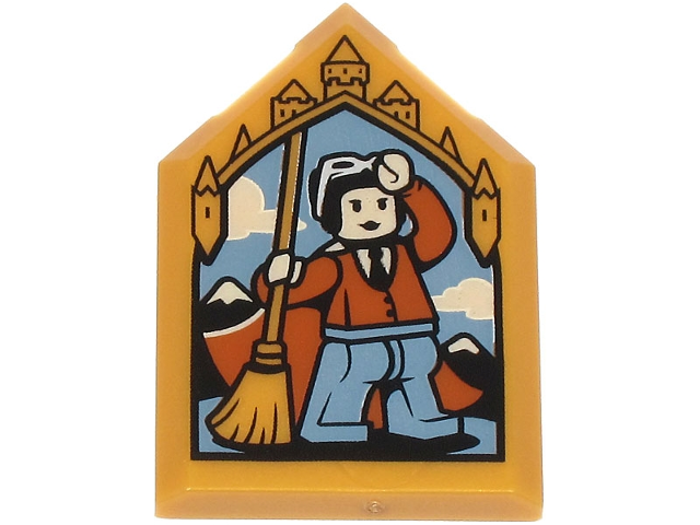 LEGO 22385pb333 - Dlaždice, upravený pětiúhelníkový 2 x 3 s portrétem HP - vzor Jocunda Sykes