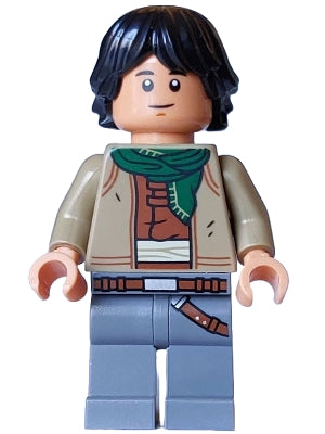 LEGO sw1361 - Sig Greebling